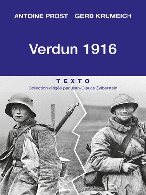 cover image of Verdun 1916